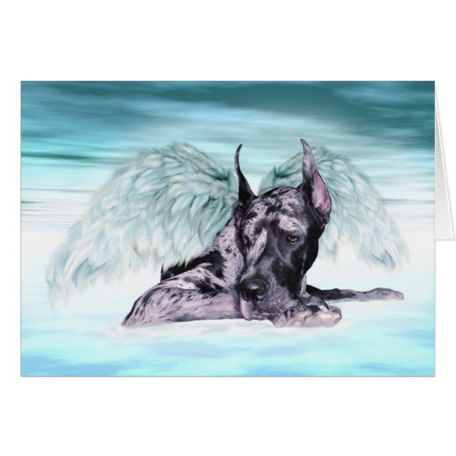 Great Dane Angel Merle (Vorderseite (Horizontal))