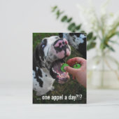 Great Dane Arzt Postkarte (Stehend Vorderseite)