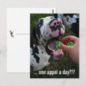 Great Dane Arzt Postkarte (Vorne/Hinten)