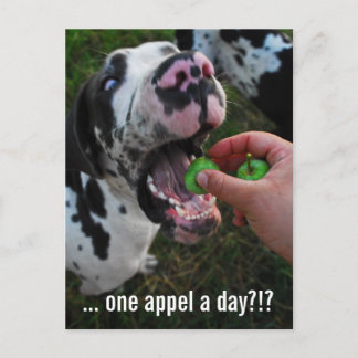 Great Dane Arzt Postkarte