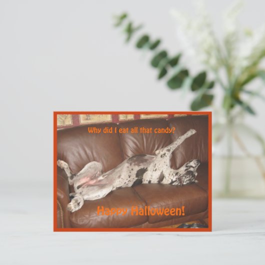 Great Dane Ate zu viel Halloween Candy Postkarte (Stehend Vorderseite)