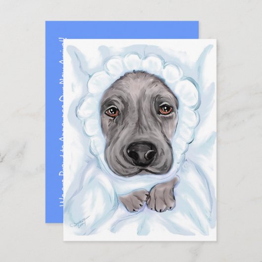 Great Dane Baby Black Boy Ankündigung Postkarten (Vorne/Hinten)