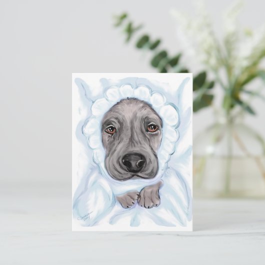 Great Dane Baby Black Boy Ankündigung Postkarten (Stehend Vorderseite)