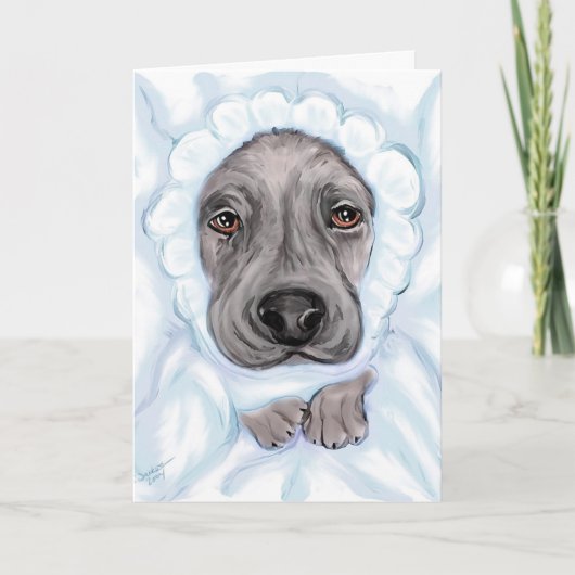 Great Dane Baby Black Boy Ankündigungen (Vorderseite)