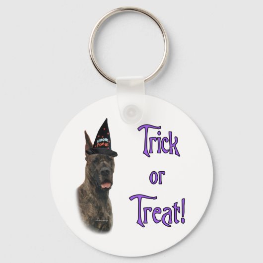 Great Dane (Bindle) Trick Schlüsselanhänger (Vorderseite)
