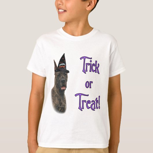 Great Dane (Bindle) Trick T-Shirt (Vorderseite)