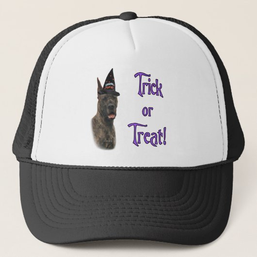 Great Dane (Bindle) Trick Truckerkappe (Vorderseite)