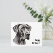 Great Dane Birthday Postkarte (Stehend Vorderseite)