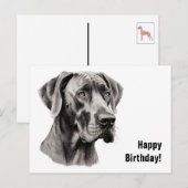 Great Dane Birthday Postkarte (Vorne/Hinten)