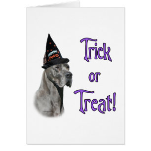 Great Dane (blau) Trick