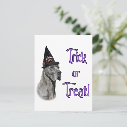 Great Dane (blau) Trick Postkarte (Stehend Vorderseite)