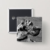 GREAT DANE BUTTON (Vorne & Hinten)
