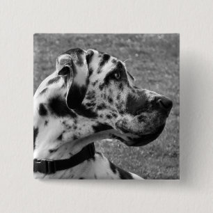 GREAT DANE BUTTON