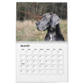 Great Dane Calendar Kalender (Mär 2027)