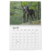Great Dane Calendar Kalender (Jan 2027)