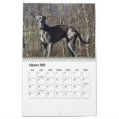 Great Dane Calendar Kalender (Feb 2026)