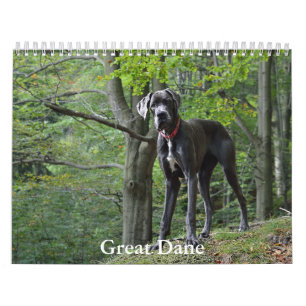 Great Dane Calendar Kalender
