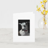 Great Dane Card jeder Anlass Karte (Gelbe Blume)