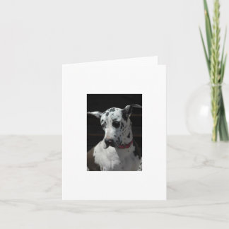 Great Dane Card jeder Anlass Karte