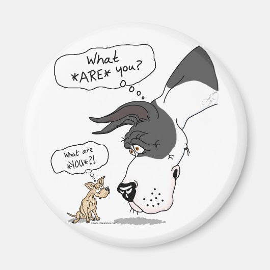 Great Dane & Chihuahua Mantle Magnet (Vorne)