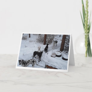 Great Dane Christmas Card Karte