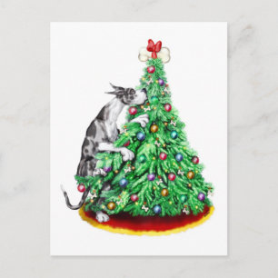 Great Dane Christmas Reach Goals Merle Feiertagspostkarte
