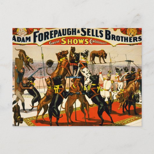 Great Dane Circus Show Postkarte (Vorderseite)