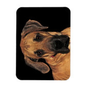 Great Dane Dog Flexible Magnet (Vertikal)
