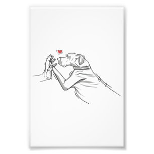 Great Dane Dog Fotodruck