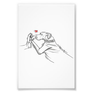 Great Dane Dog Fotodruck