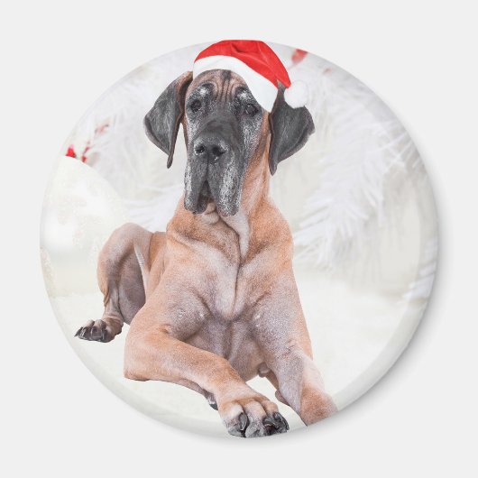 Great Dane Dog Hat frohe Weihnachten Magnet (Vorne)