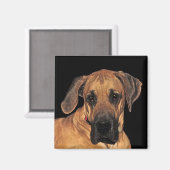 Great Dane Dog Magnete Magnet (Vorderseite/Rückseite)