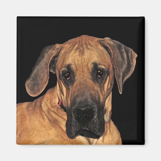Great Dane Dog Magnete Magnet (Vorne)