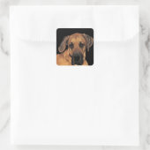 Great Dane Dog Stickers (Tasche)