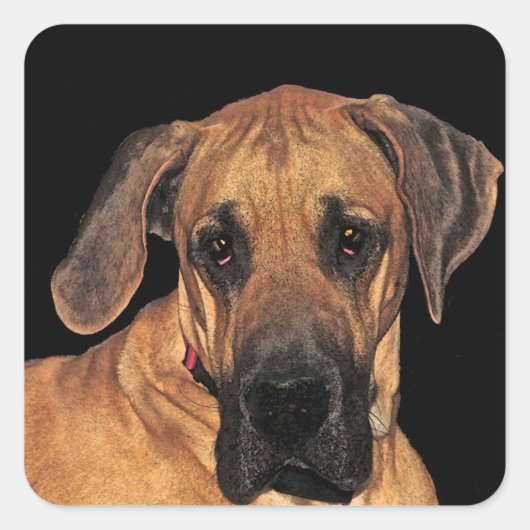 Great Dane Dog Stickers (Vorderseite)
