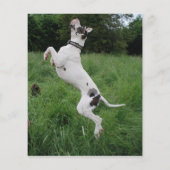 Great Dane Dog Trainer Flyer (Hinten)