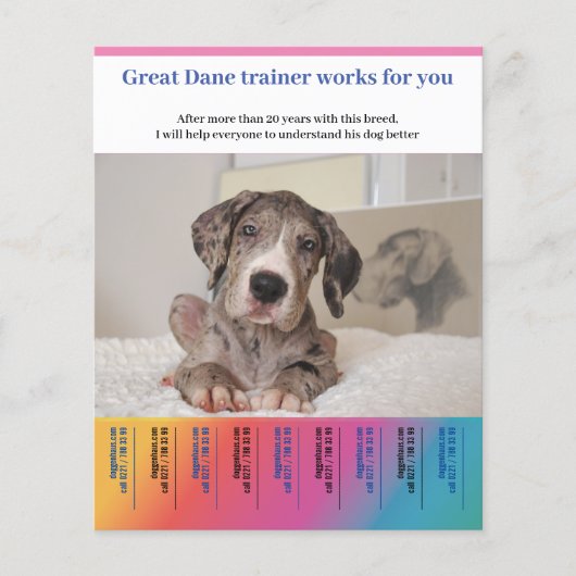 Great Dane Dog Trainer Flyer (Vorne)