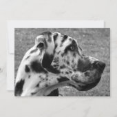 GREAT DANE EINLADUNG (Vorderseite)