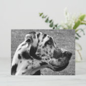 GREAT DANE EINLADUNG (Stehend Vorderseite)
