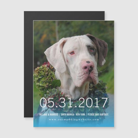 Great Dane Einladung (Vorne/Hinten)