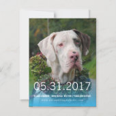 Great Dane Einladung (Vorderseite)