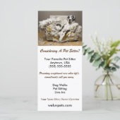 Great Dane entspannt auf kauen Sofa Sitzgelegenhei (Stehend Vorderseite)