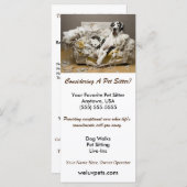 Great Dane entspannt auf kauen Sofa Sitzgelegenhei (Vorne/Hinten)