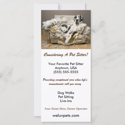 Great Dane entspannt auf kauen Sofa Sitzgelegenhei (Vorderseite)