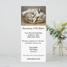 Great Dane entspannt auf kauen Sofa Sitzgelegenhei