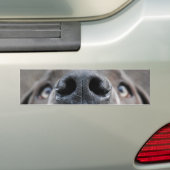 Great Dane Face Nose Autoaufkleber (Auf Auto)