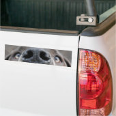 Great Dane Face Nose Autoaufkleber (Auf Lkw)