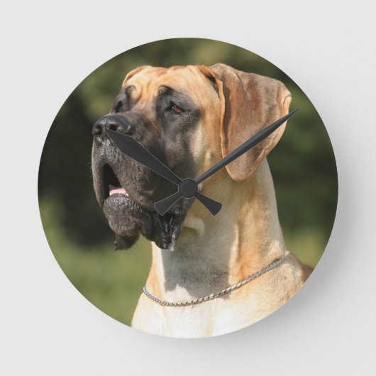 Great Dane - fawn / Deutsche Dogge - gelb Runde Wanduhr (Vorderseite)