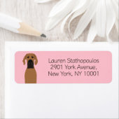 Great Dane Fawn Dog (Insitu)