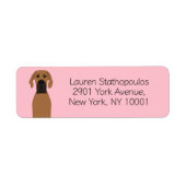 Great Dane Fawn Dog (Vorne)